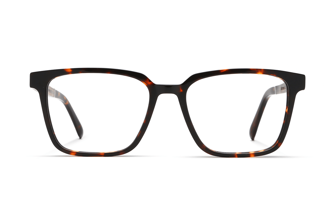 Lunettes Trust Brown