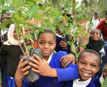 UN ARBRE PLANTÉ